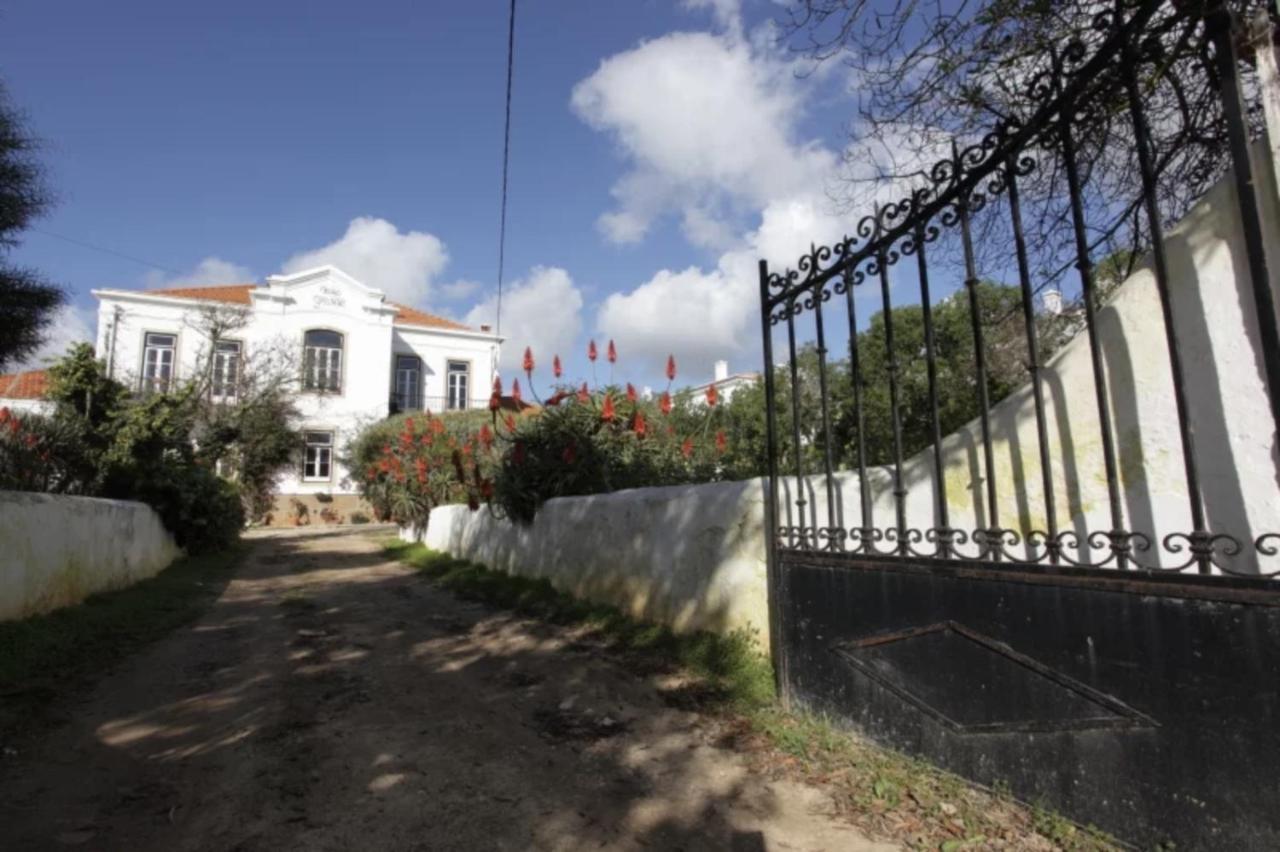 Casa Grande Portugal Bed & Breakfast บูร์เกา ภายนอก รูปภาพ